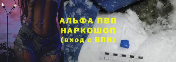дживик Новозыбков