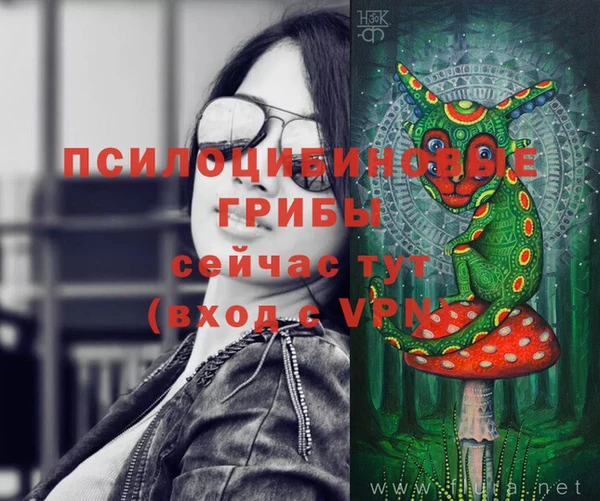 мяу мяу мука Новодвинск