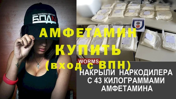 дживик Новозыбков