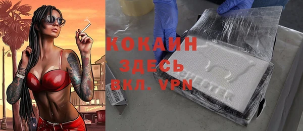 дживик Новозыбков