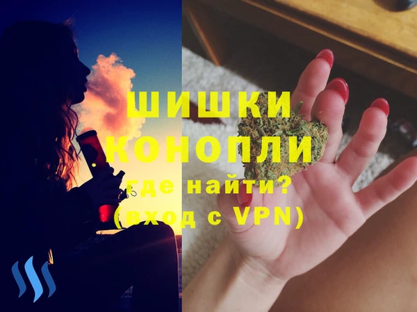 дживик Новозыбков