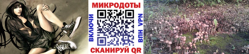 Галлюциногенные грибы GOLDEN TEACHER  Купить где  Мегион 